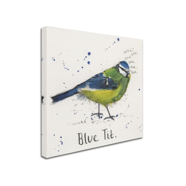 Michelle Campbell 'Blue Tit' Canvas Art,18x18